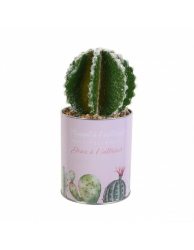 Dirbtinis augalas "Kaktusas"